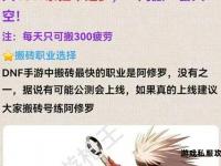 DNF手游助手官方命名揭晓功能详解与使用技巧全攻略