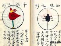 春雷法宝现世神霄引雷诀破邪震魍魉
