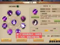 天龙八部私服运行异常问题深度解析与解决方案探讨