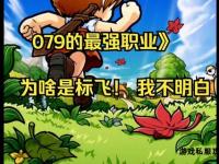 冒险岛079私服市场价格趋势与性价比深度分析指南