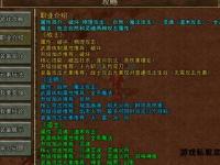 传奇私服数据库Access核心技术解析与实战应用指南