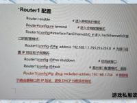 私服登陆器IP地址一键获取与连接指南