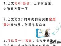 带狗私服出行指南与实用技巧